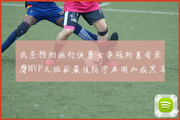 武圣预测独行侠勇士争冠约基奇荣膺MVP文班获最佳防守库明加成黑马赢家