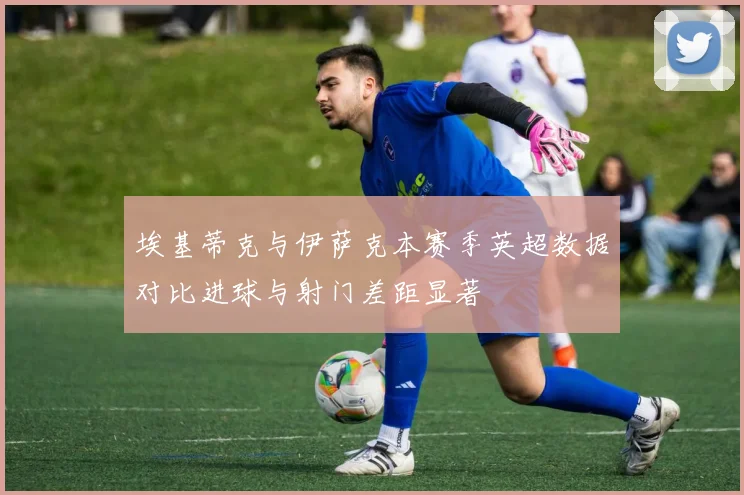 埃基蒂克与伊萨克本赛季英超数据对比进球与射门差距显著