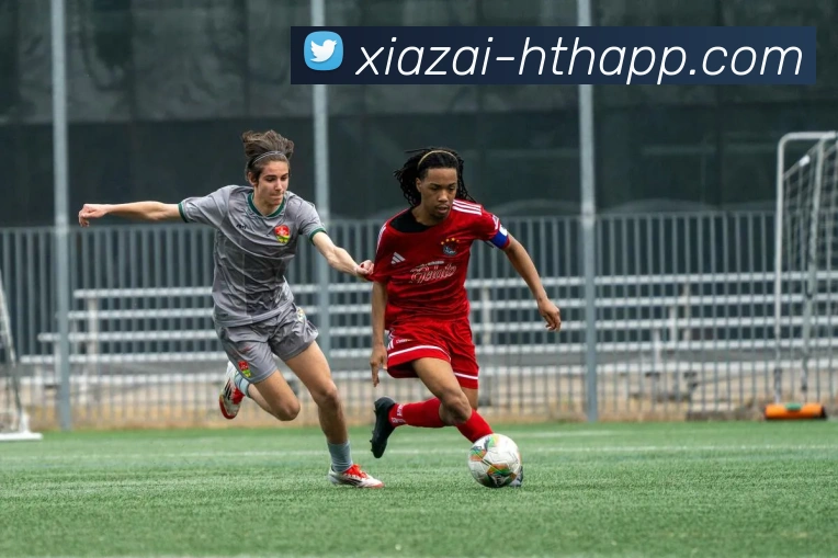 华体会体育APP 封面图